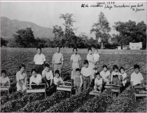 Tsuneishi on strawberry farm